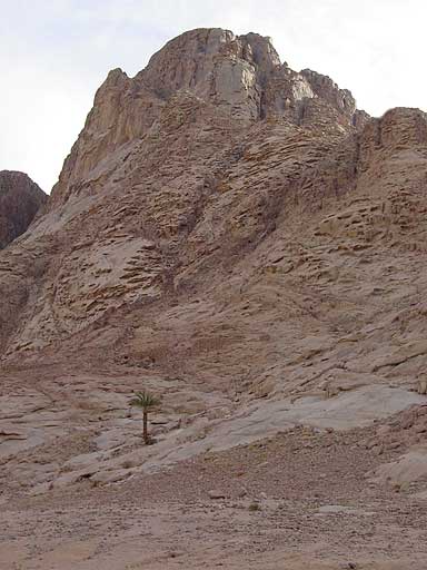 gal/2006 Sinai/DSC03992.jpg